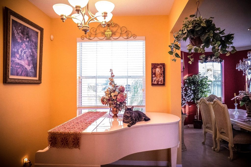 The dining room, laid for service